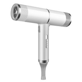 New Concept Hair Dryer Household Hair Dryer (Option: White-220V-Gift box)