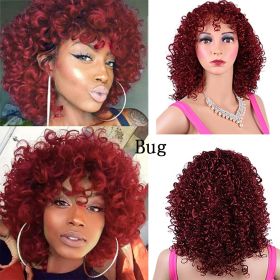 Synthetic Afro Curly Wig African Wigs For Black Women (Option: Bug)