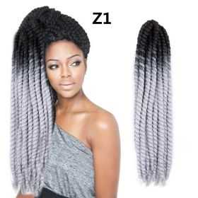 Spring Braid Wig 22 Inches (Option: Z1)