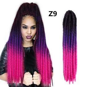 Spring Braid Wig 22 Inches (Option: Z9)